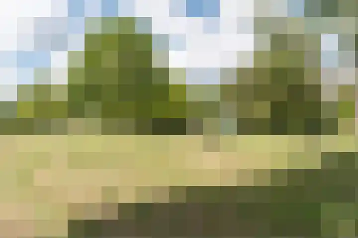 Lemelerberg 111 Capelle aan den IJssel thumbnail 36