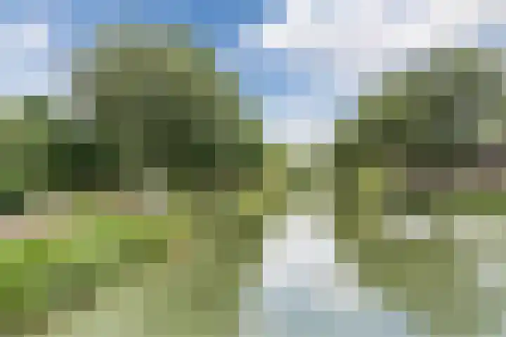 Lemelerberg 111 Capelle aan den IJssel thumbnail 37