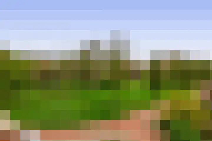 Lemelerberg 113 Capelle aan den IJssel thumbnail 36