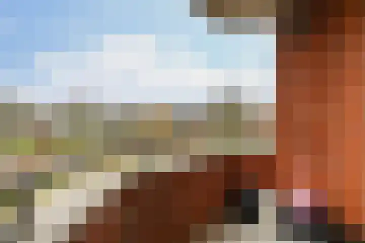 Lemelerberg 124 Capelle aan den IJssel thumbnail 16