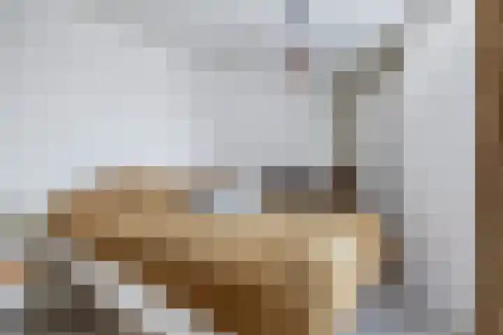 Lemelerberg 124 Capelle aan den IJssel thumbnail 25