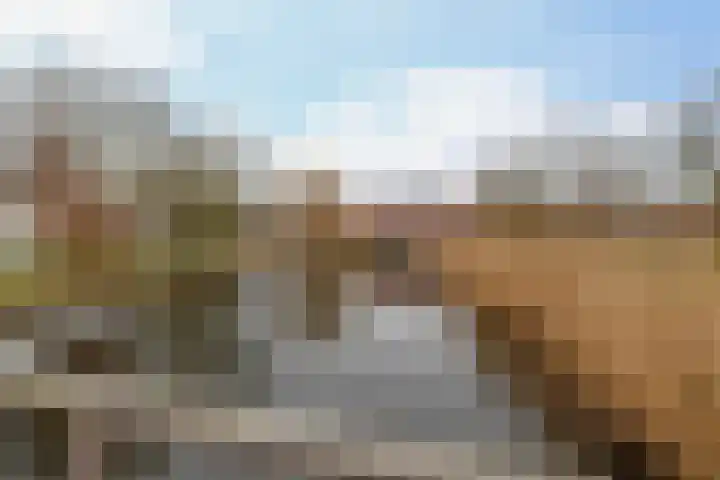 Lemelerberg 124 Capelle aan den IJssel thumbnail 32