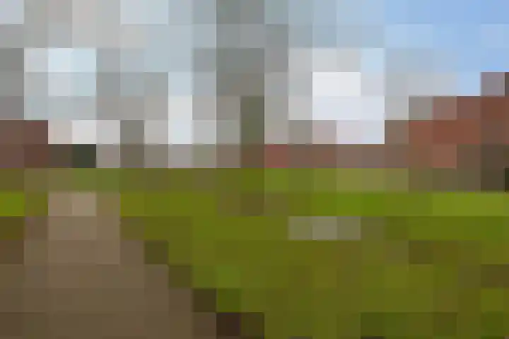 Lemelerberg 124 Capelle aan den IJssel thumbnail 33