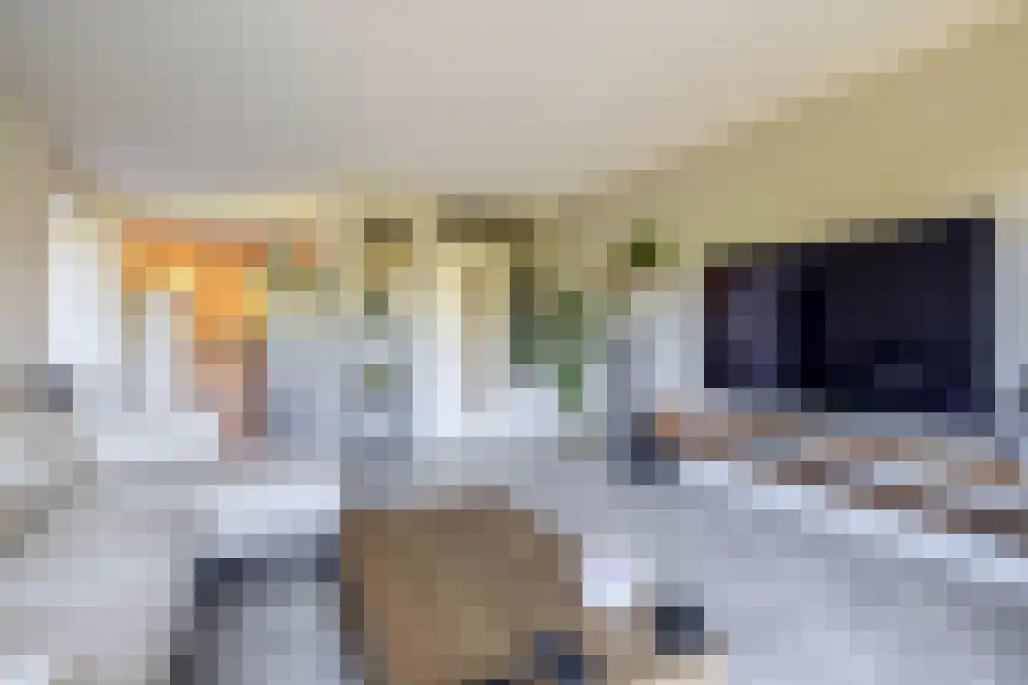 Lemelerberg 137 Capelle aan den IJssel thumbnail 13