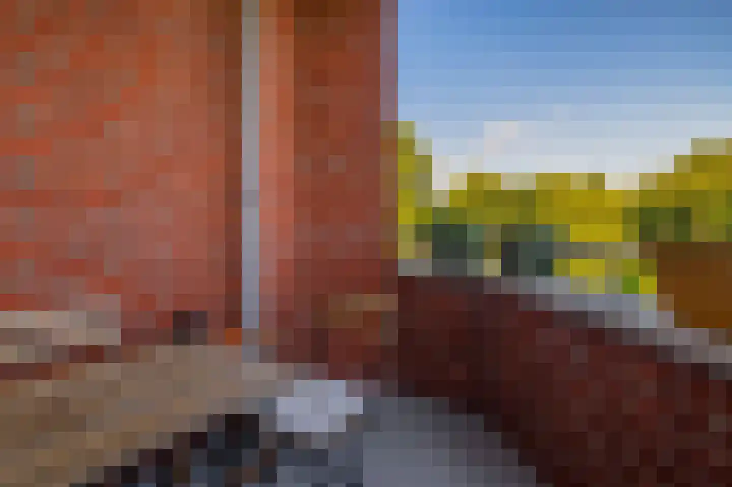 Lemelerberg 137 Capelle aan den IJssel thumbnail 26
