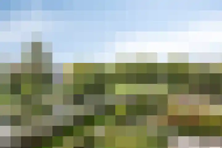 Lemelerberg 138 Capelle aan den IJssel thumbnail 11