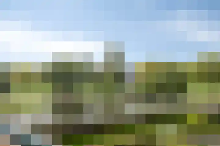 Lemelerberg 138 Capelle aan den IJssel thumbnail 17