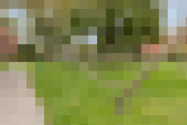 Lemelerberg 138 Capelle aan den IJssel thumbnail 21