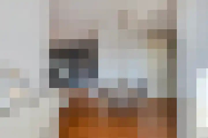 Lemelerberg 138 Capelle aan den IJssel thumbnail 6