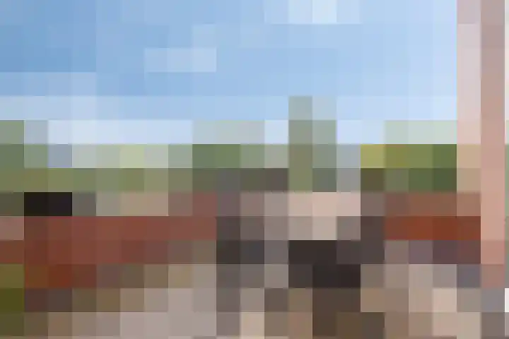 Lemelerberg 138 Capelle aan den IJssel thumbnail 9