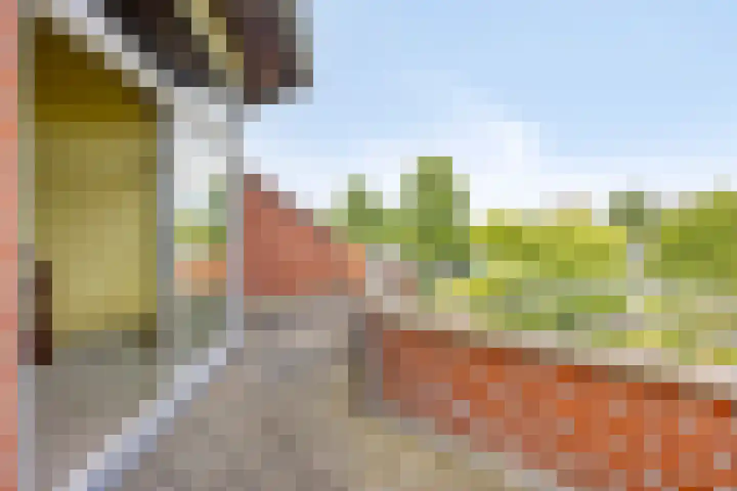 Lemelerberg 141 Capelle aan den IJssel thumbnail 19