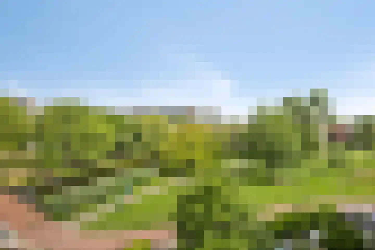 Lemelerberg 141 Capelle aan den IJssel thumbnail 21