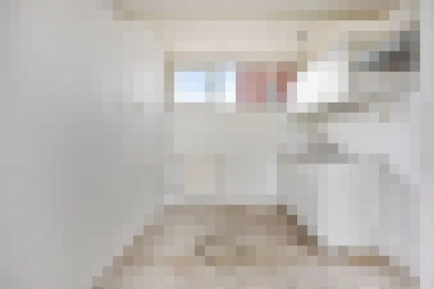 Lemelerberg 141 Capelle aan den IJssel thumbnail 8