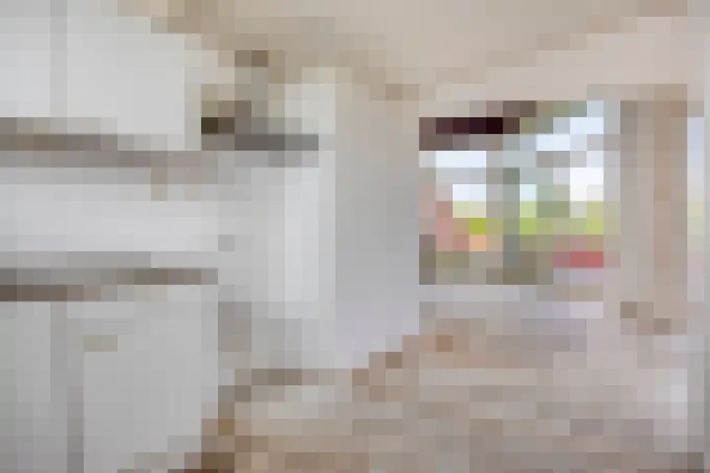 Lemelerberg 141 Capelle aan den IJssel thumbnail 9