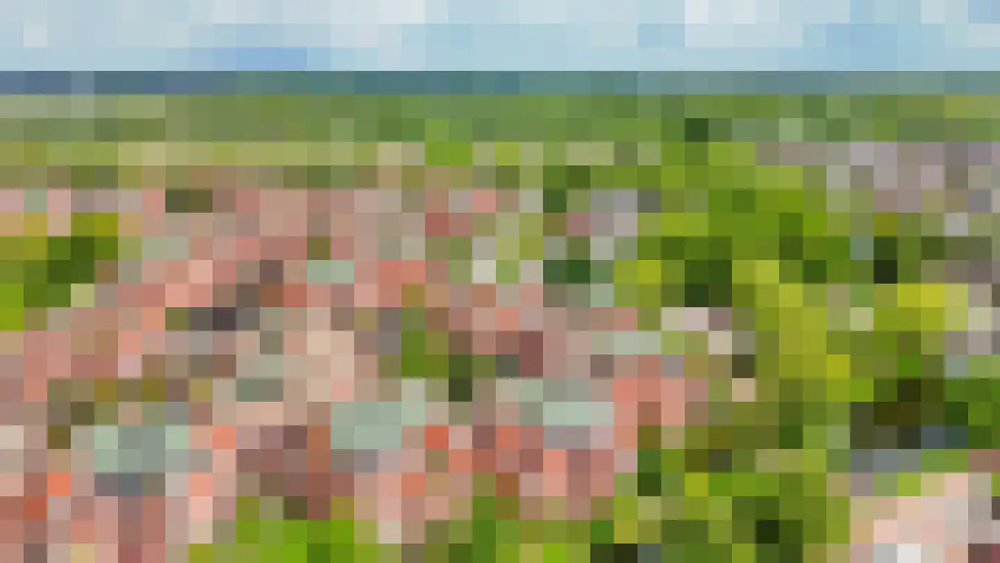 Lemelerberg 167 Capelle aan den IJssel thumbnail 43