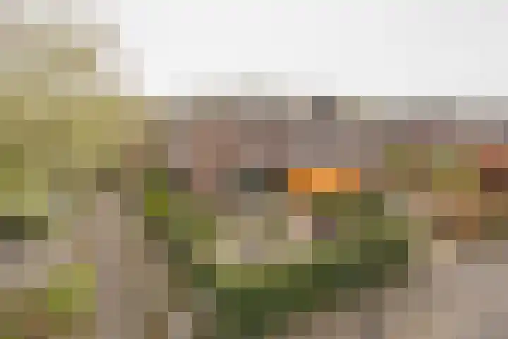 Lemelerberg 2 Amersfoort thumbnail 57