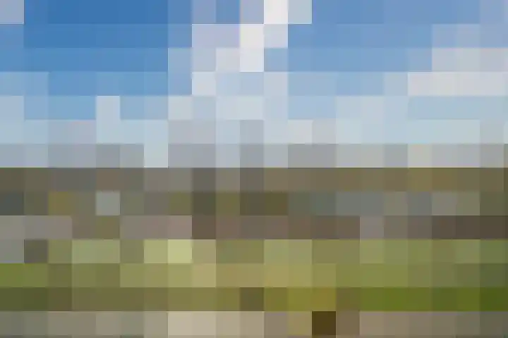 Lemelerberg 22 Alphen aan den Rijn thumbnail 5