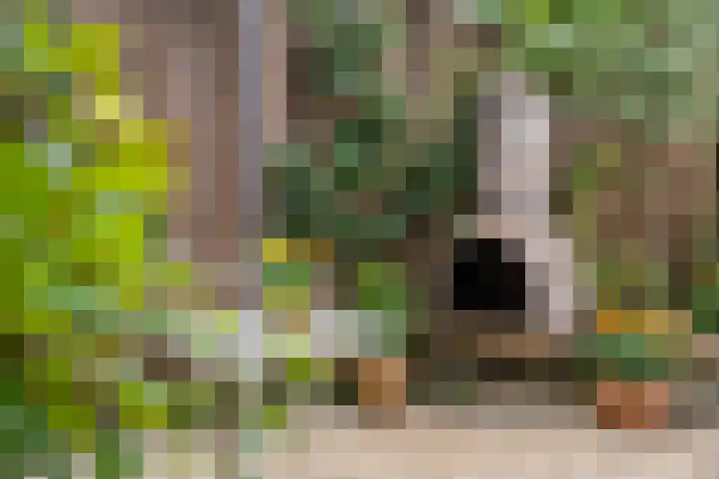 Lemelerberg 34 Amersfoort thumbnail 28