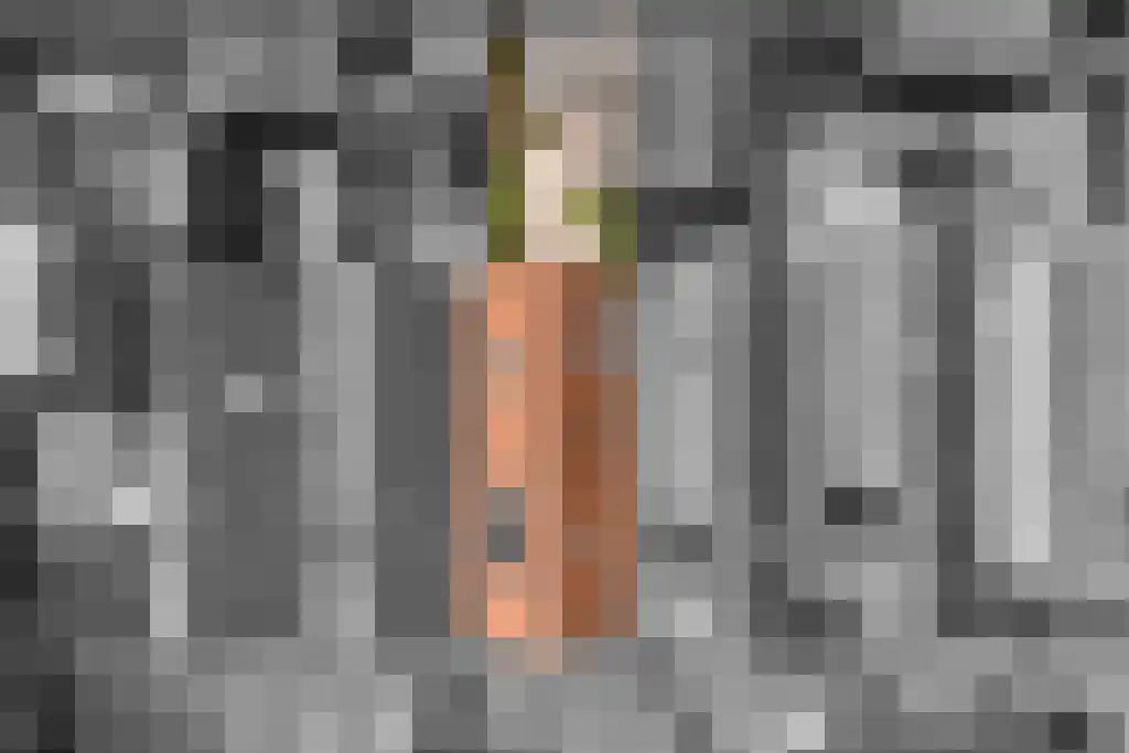Lemelerberg 34 Amersfoort thumbnail 32