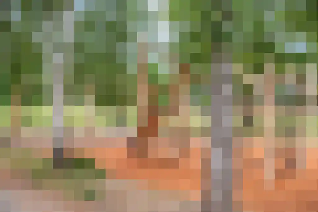 Lemelerberg 34 Amersfoort thumbnail 35