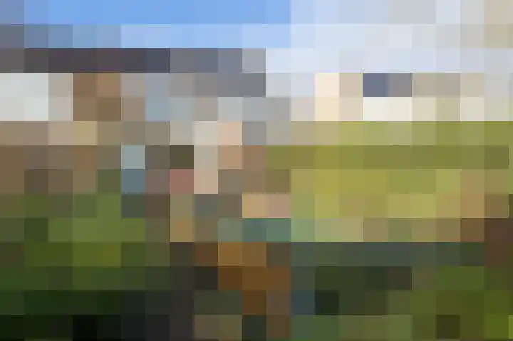 Lemelerberg 36 Alphen aan den Rijn thumbnail 20