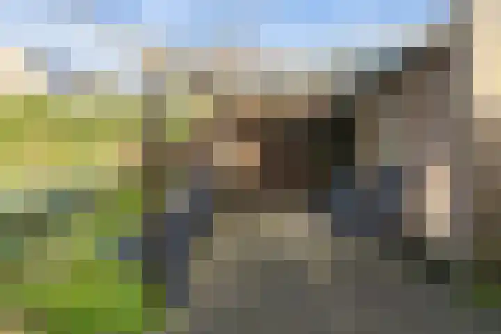 Lemelerberg 36 Alphen aan den Rijn thumbnail 21