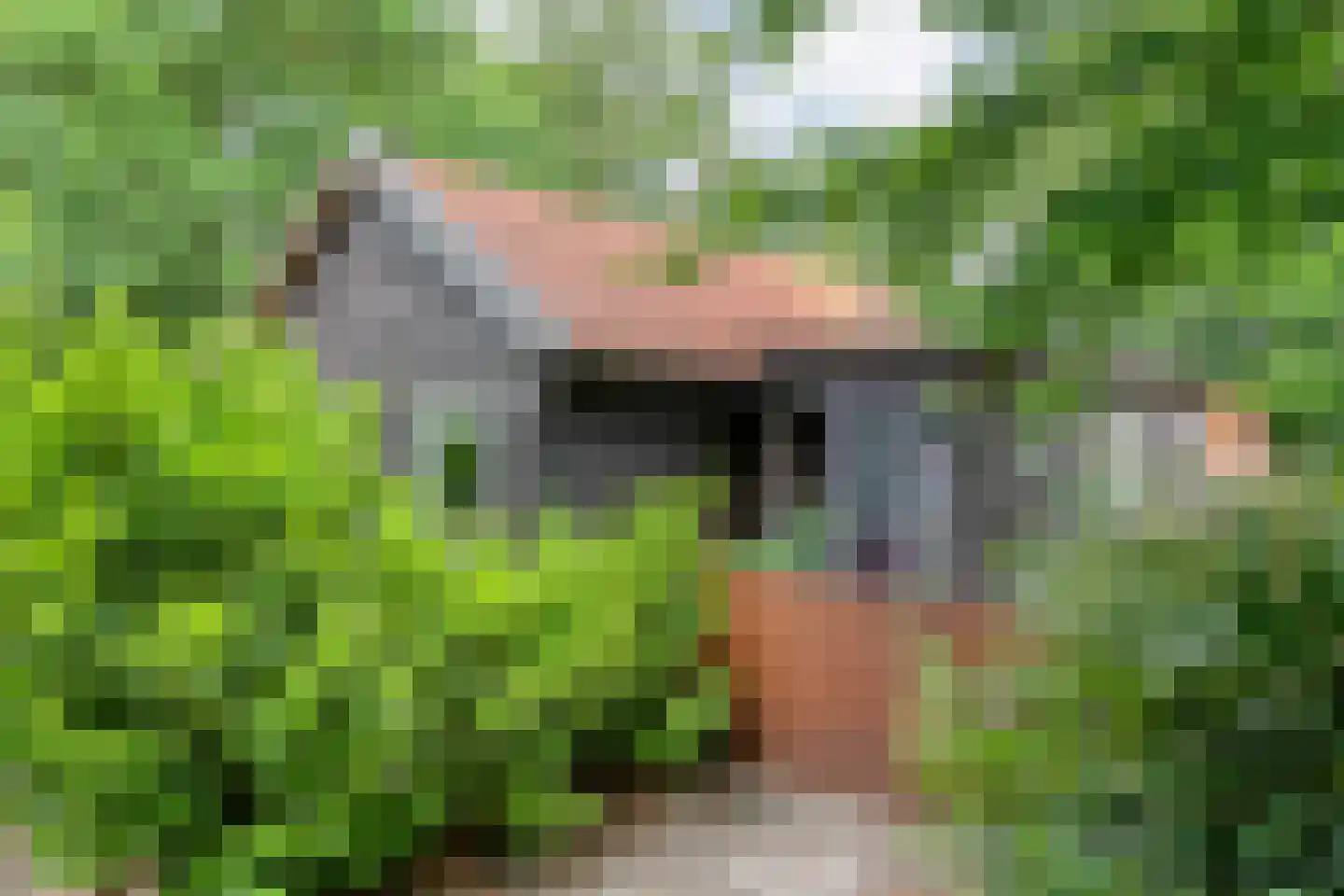 Lemelerveldseweg 23 Heino thumbnail 14