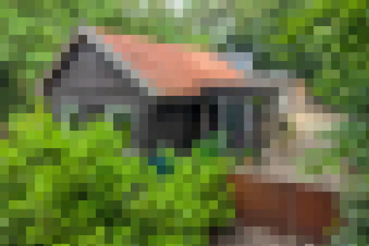 Lemelerveldseweg 23 Heino thumbnail 4