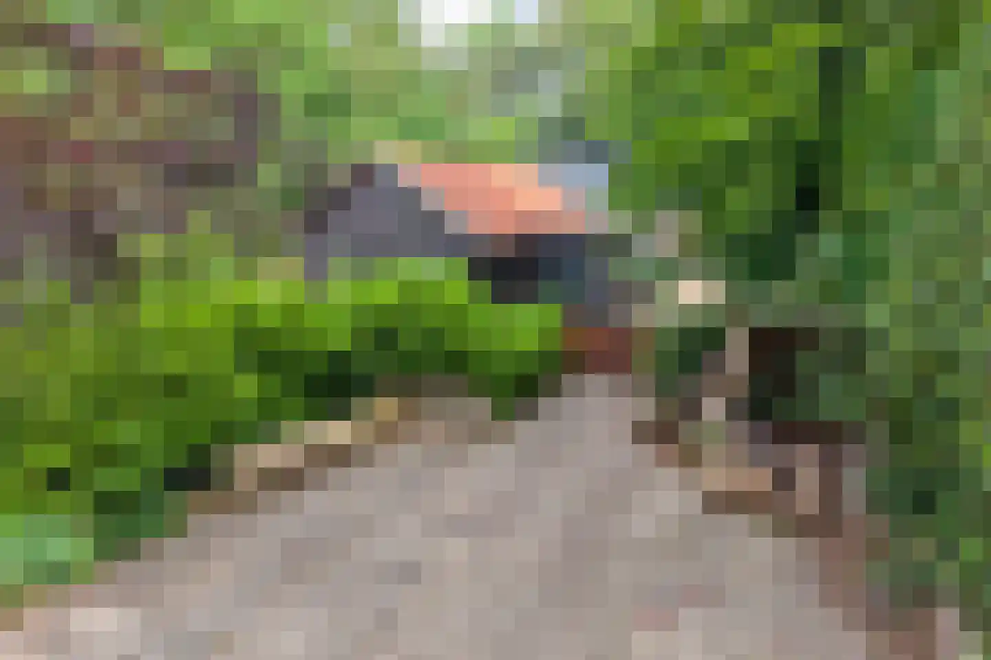 Lemelerveldseweg 23 Heino thumbnail 5