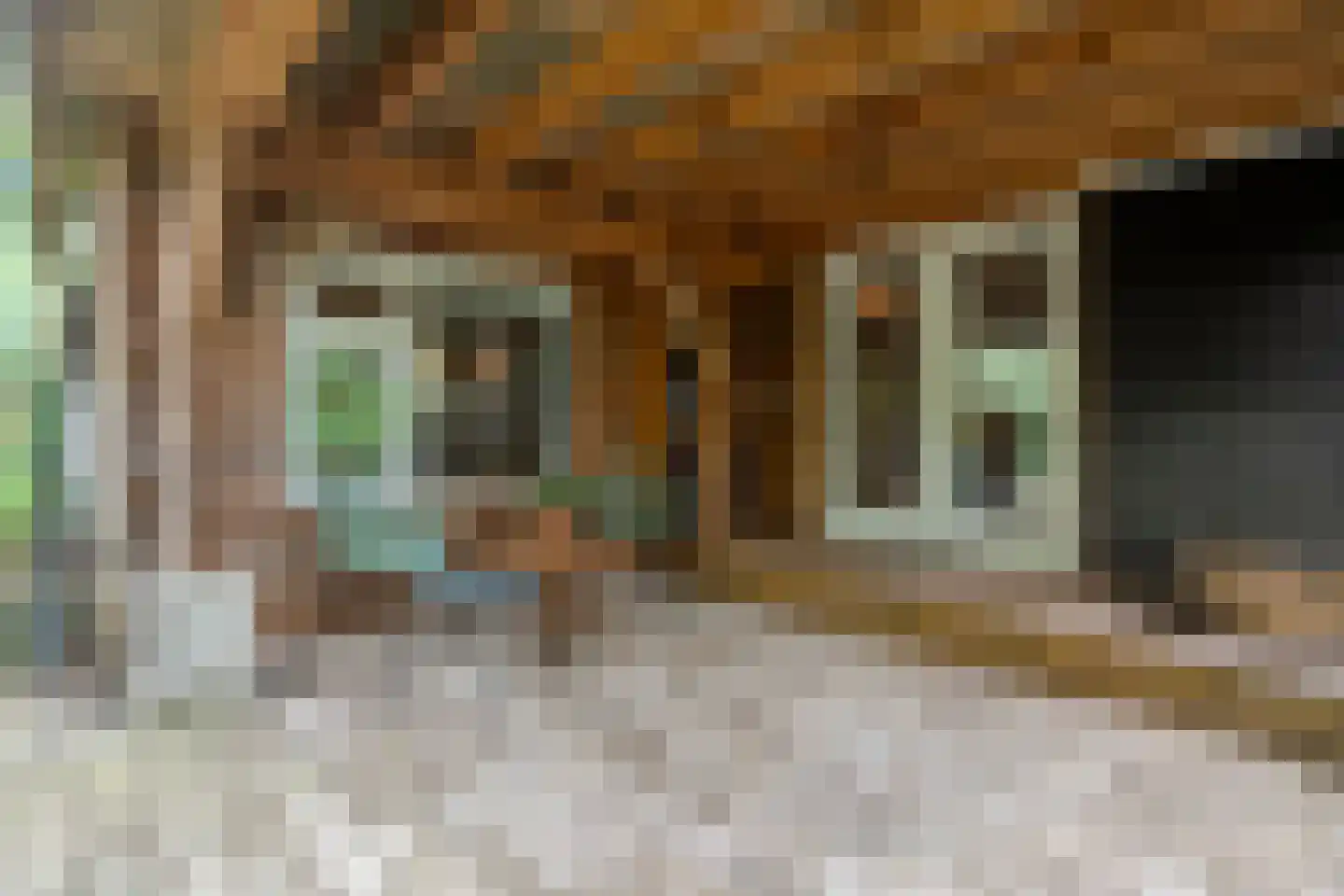 Lemelerveldseweg 23 Heino thumbnail 56