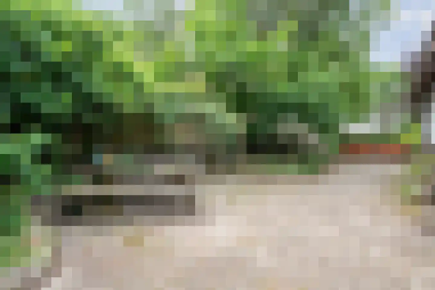 Lemelerveldseweg 23 Heino thumbnail 57