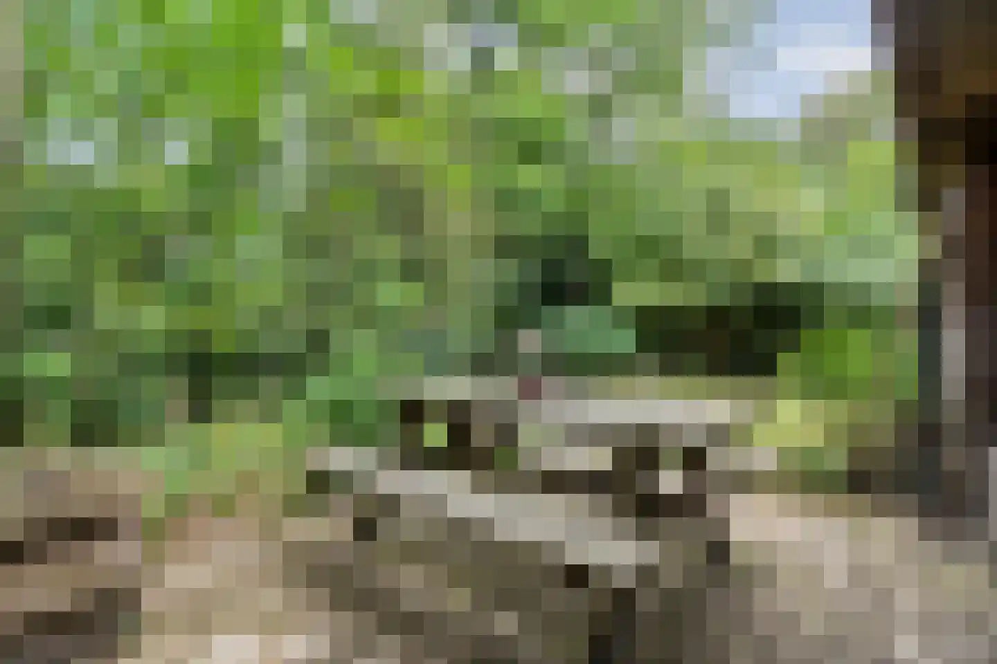 Lemelerveldseweg 23 Heino thumbnail 58