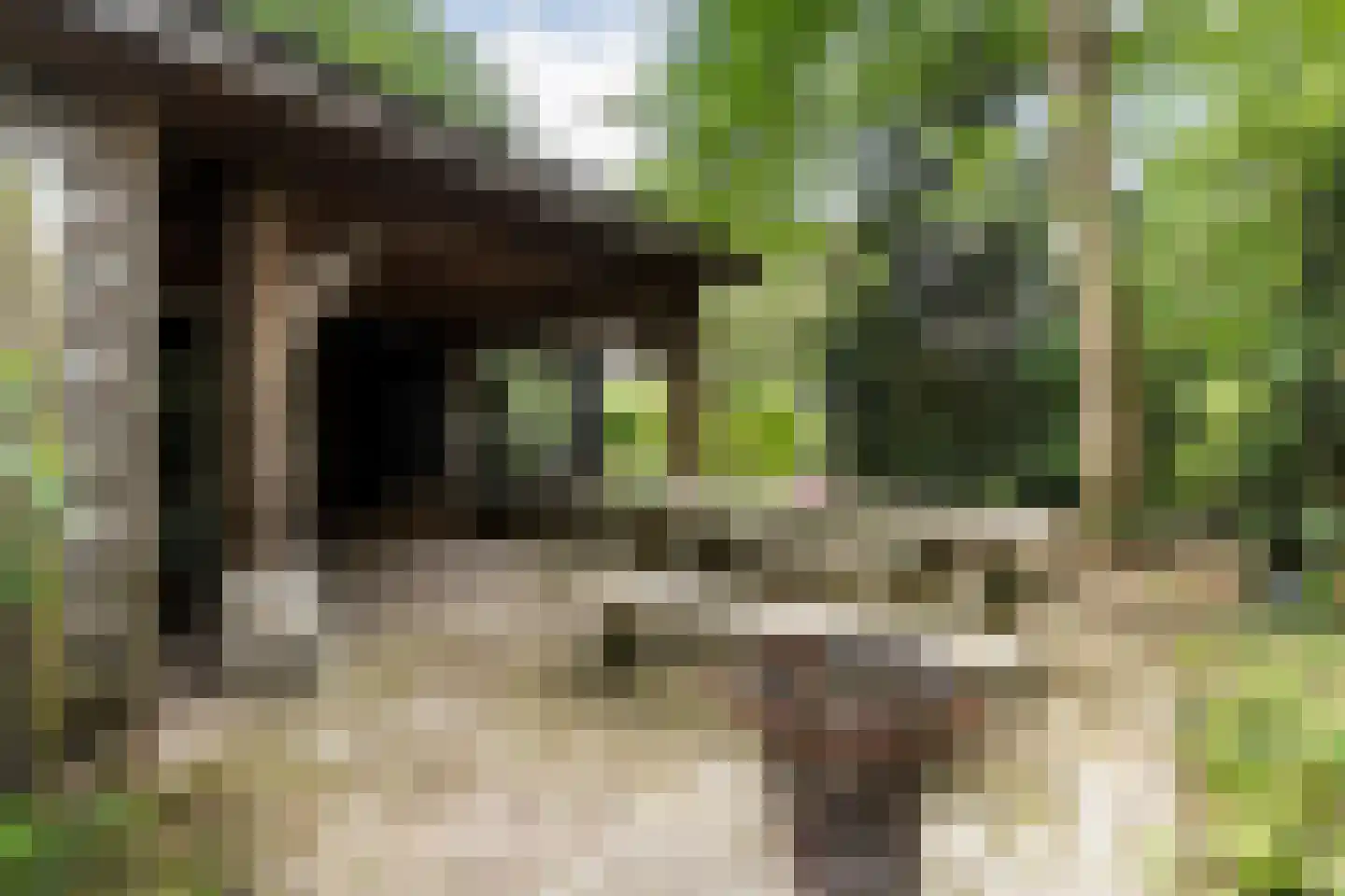 Lemelerveldseweg 23 Heino thumbnail 60
