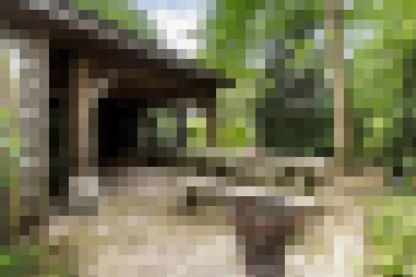 Lemelerveldseweg 23 Heino thumbnail 60