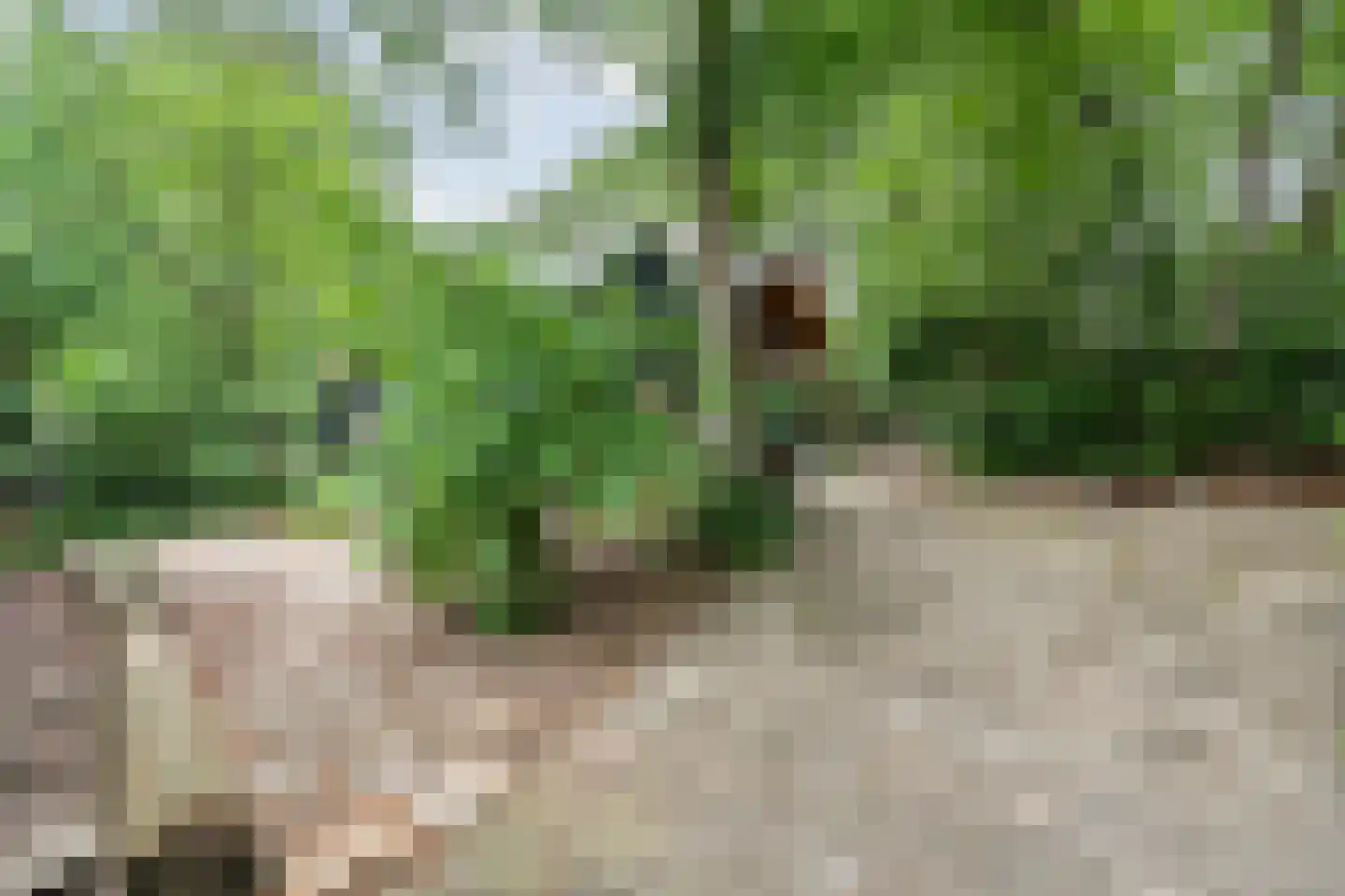 Lemelerveldseweg 23 Heino thumbnail 63