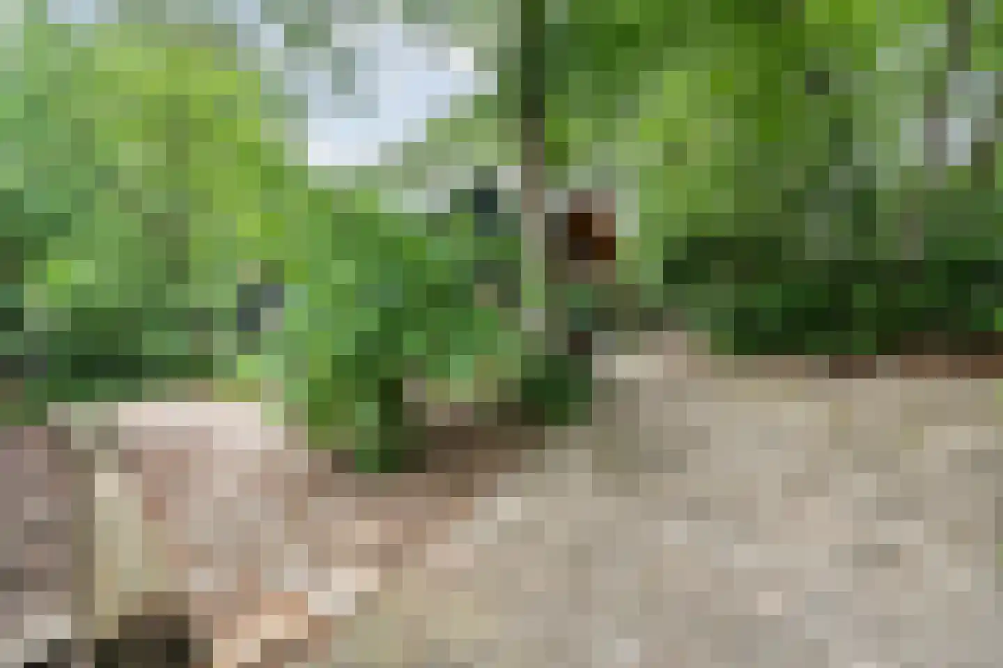 Lemelerveldseweg 23 Heino thumbnail 63