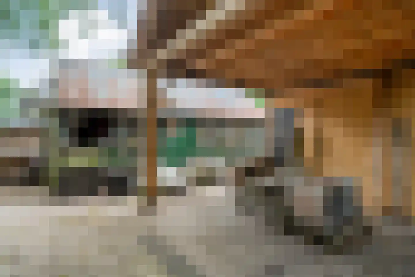 Lemelerveldseweg 23 Heino thumbnail 66
