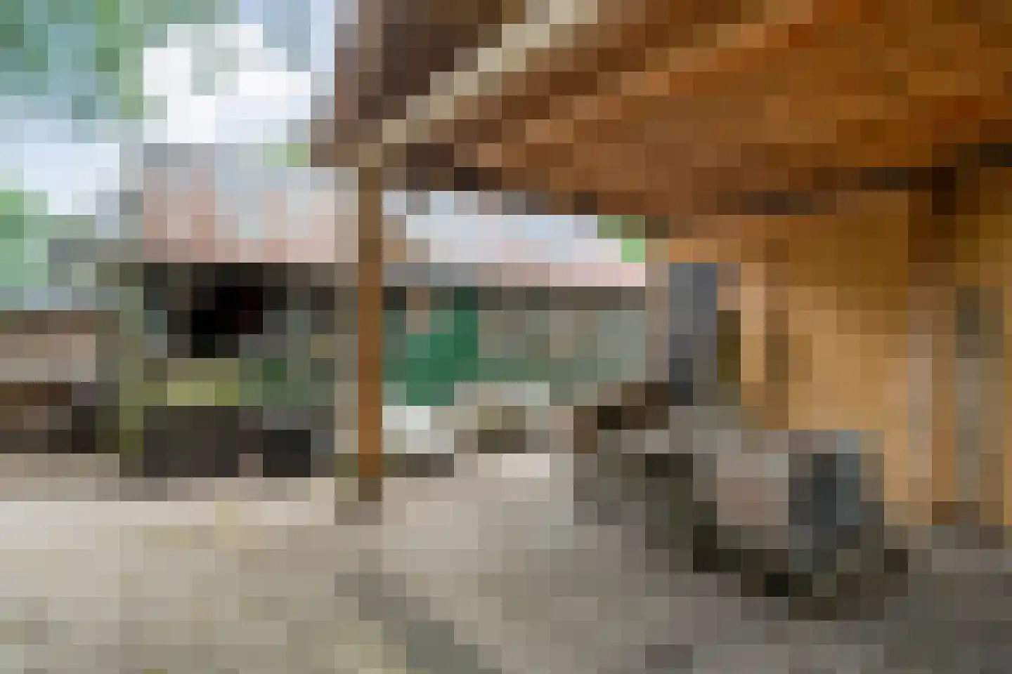 Lemelerveldseweg 23 Heino thumbnail 66