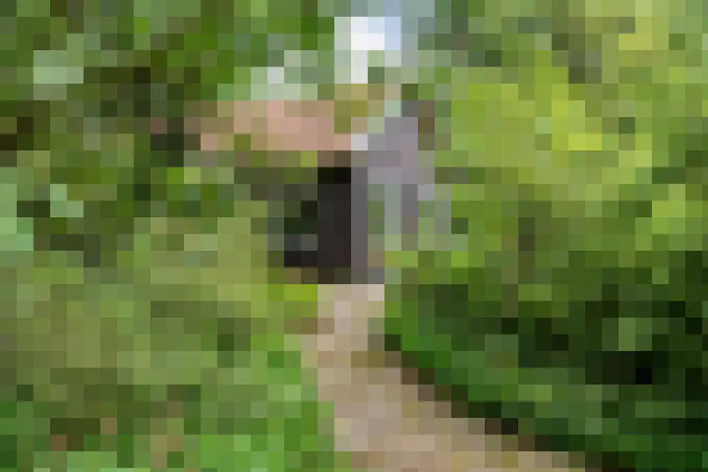 Lemelerveldseweg 23 Heino thumbnail 67