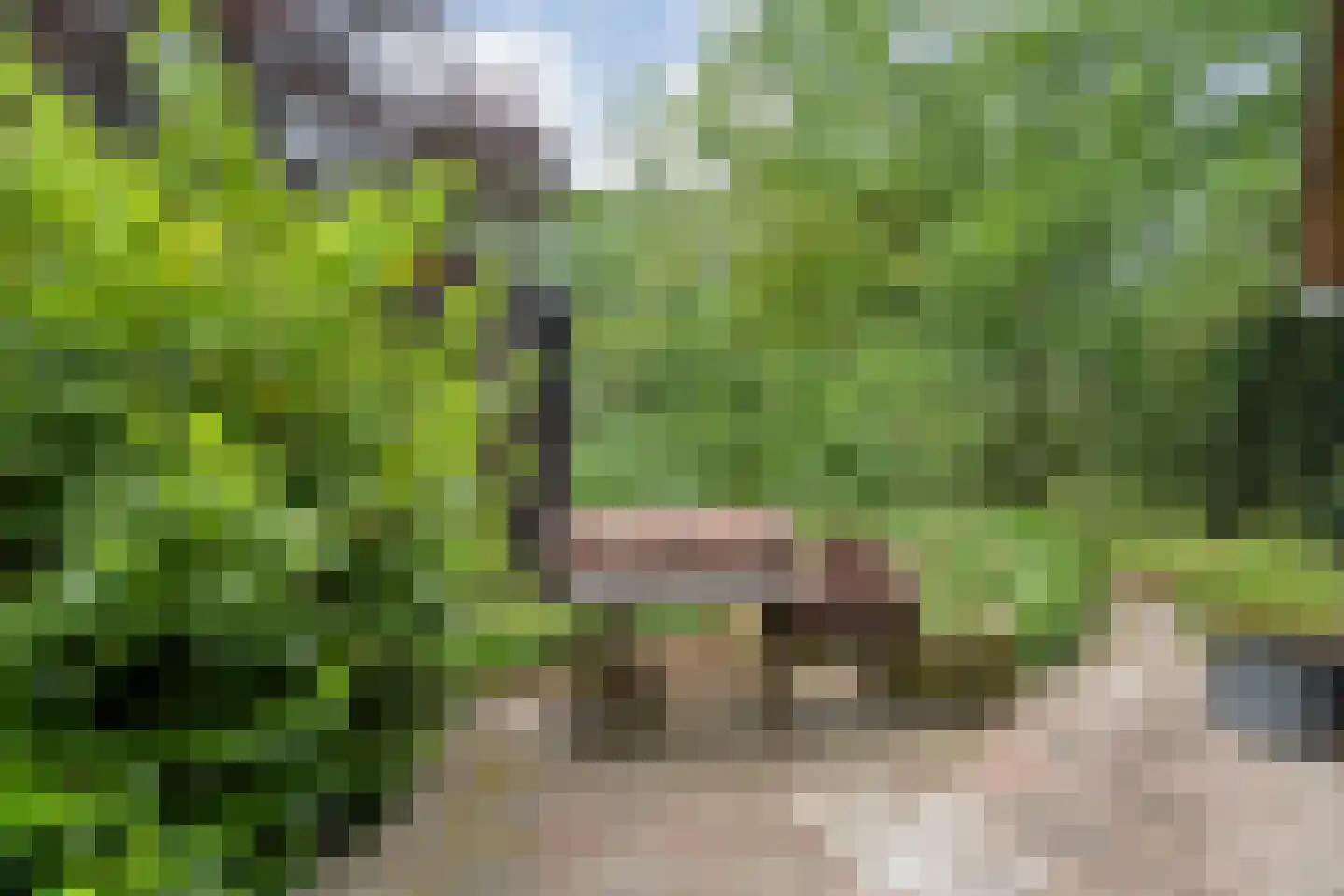 Lemelerveldseweg 23 Heino thumbnail 69