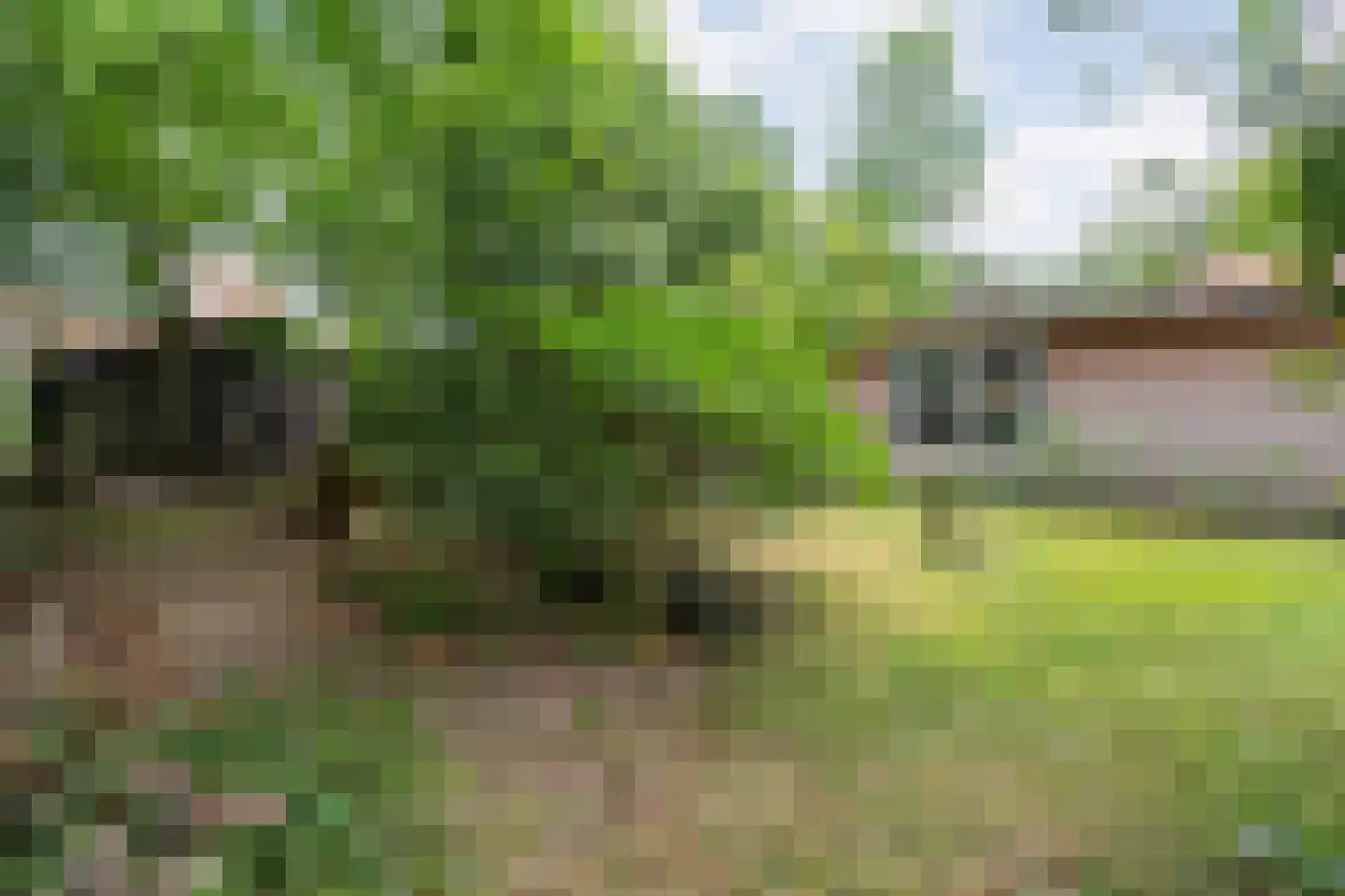 Lemelerveldseweg 23 Heino thumbnail 70
