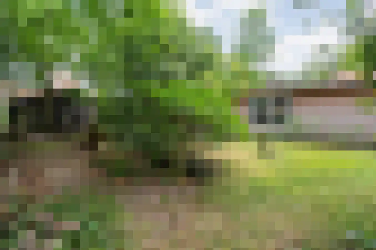 Lemelerveldseweg 23 Heino thumbnail 70