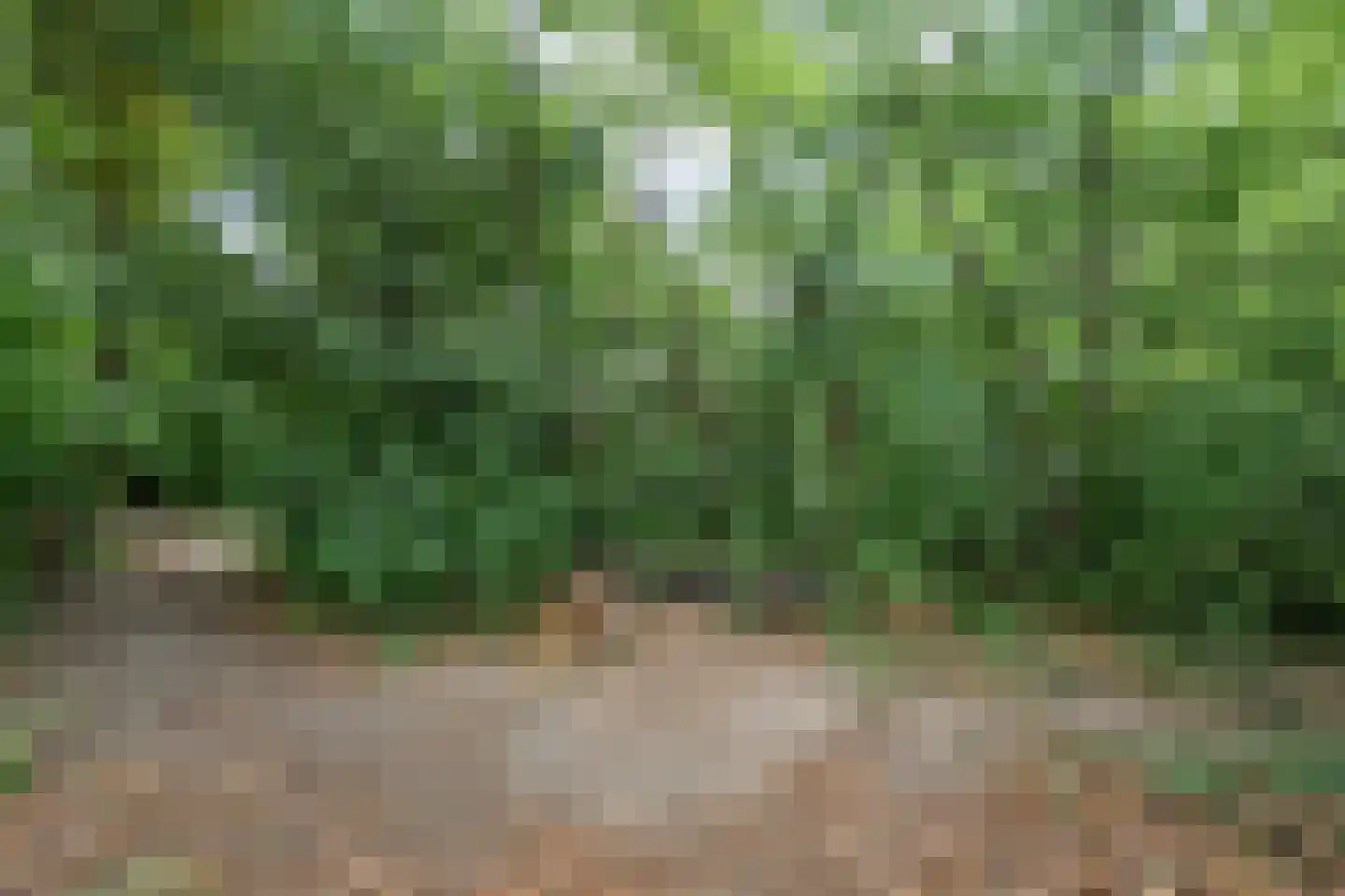 Lemelerveldseweg 23 Heino thumbnail 71