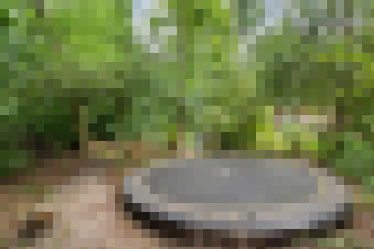 Lemelerveldseweg 23 Heino thumbnail 73