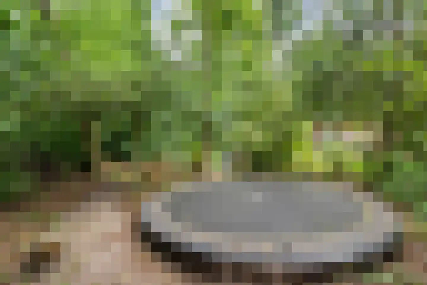 Lemelerveldseweg 23 Heino thumbnail 73