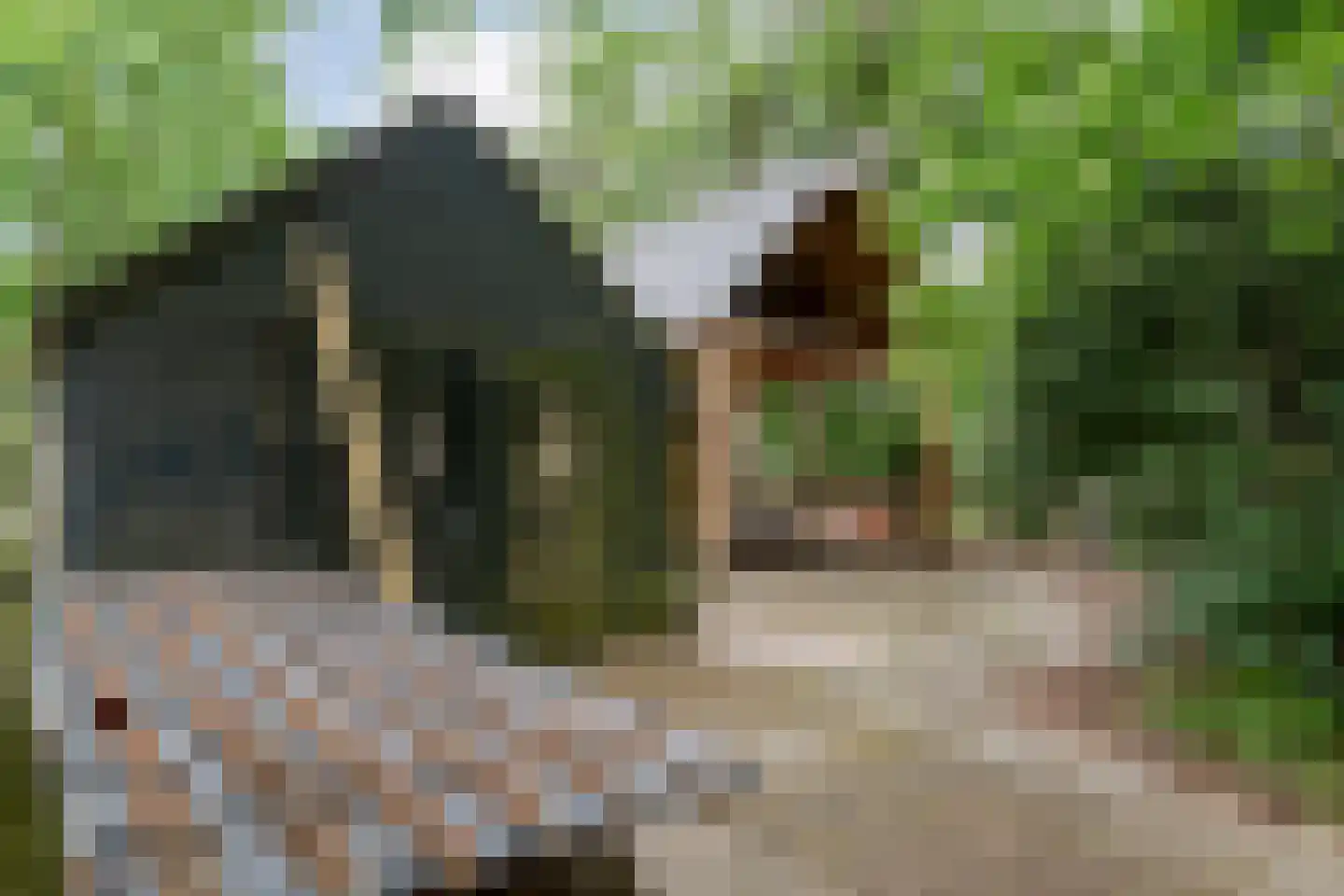 Lemelerveldseweg 23 Heino thumbnail 74