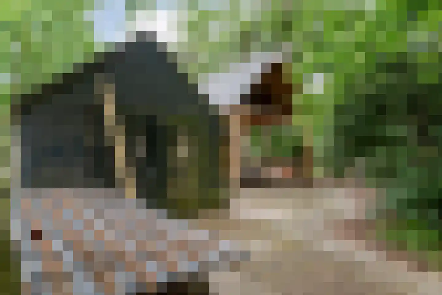 Lemelerveldseweg 23 Heino thumbnail 74