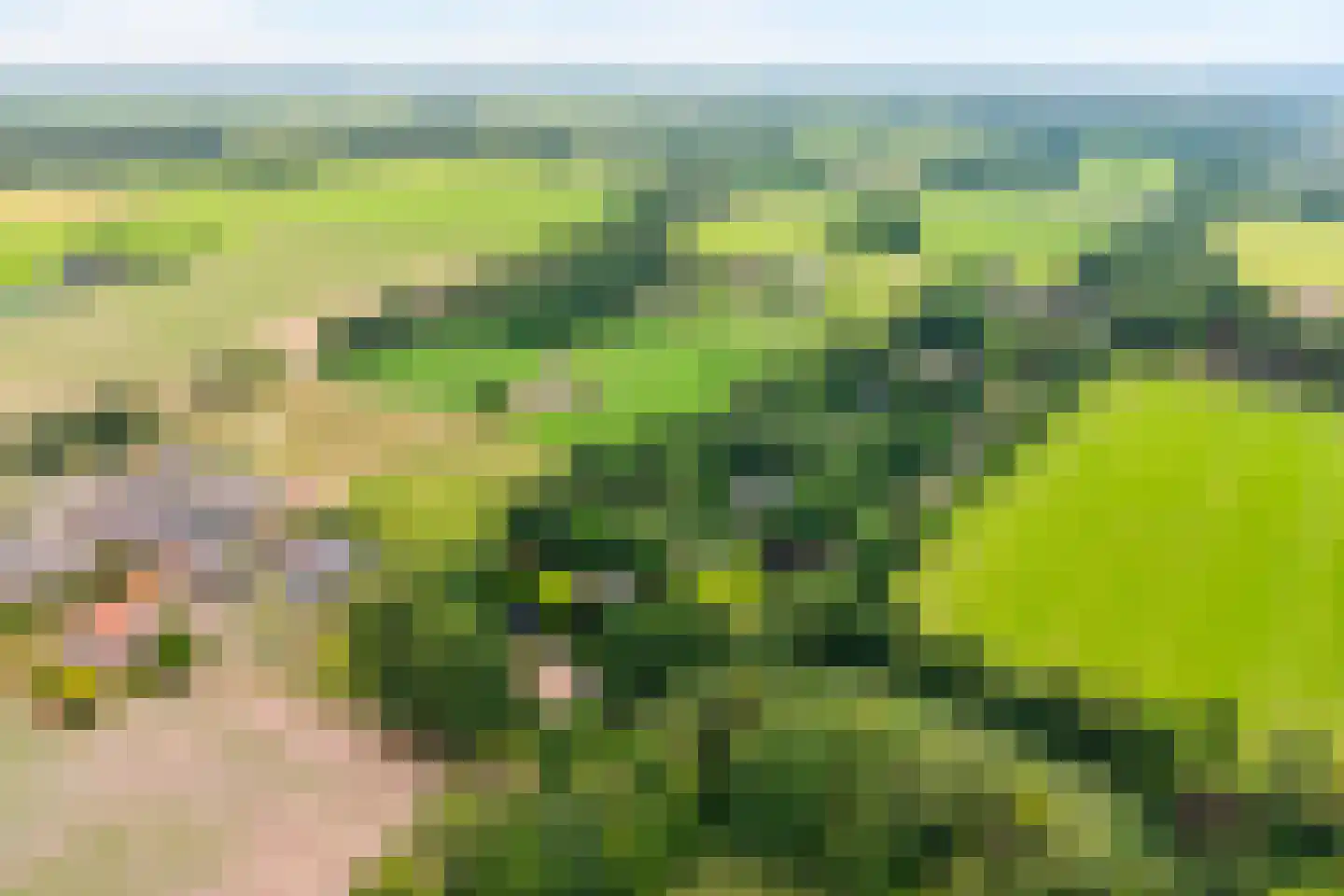 Lemelerveldseweg 23 Heino thumbnail 8