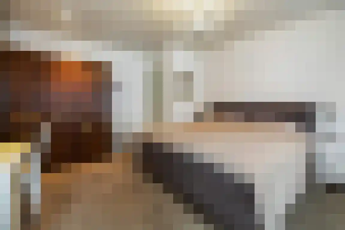 Lemelerveldseweg 36 Heino thumbnail 11