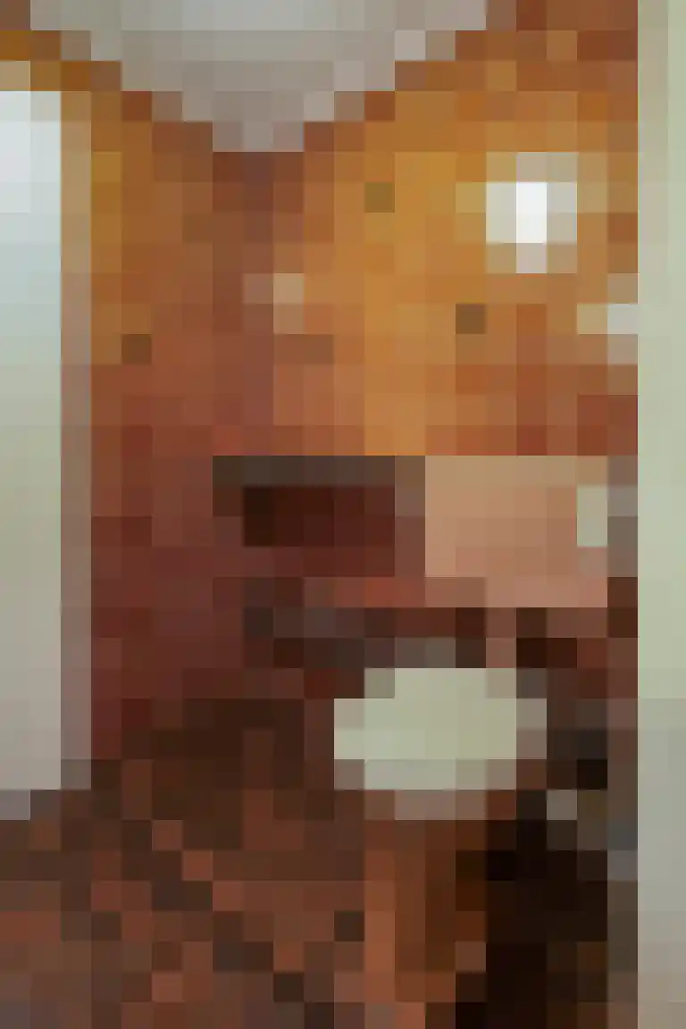 Lemelerveldseweg 36 Heino thumbnail 33